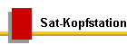 Sat-Kopfstation